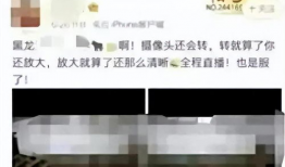 黑龙江大学教室吃瓜爆料,揭秘校园里的“瓜田”风云