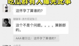 吃瓜爆料异性聊天记录,异性聊天记录背后的秘密与情感纠葛